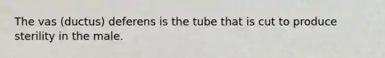 The vas (ductus) deferens is the tube that is cut to produce sterility in the male.