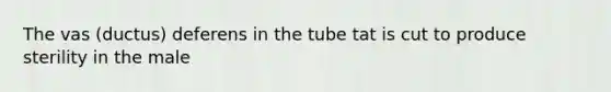 The vas (ductus) deferens in the tube tat is cut to produce sterility in the male