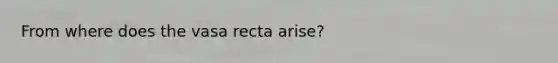 From where does the vasa recta arise?