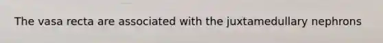 The vasa recta are associated with the juxtamedullary nephrons