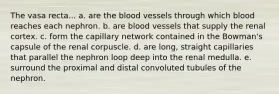 The vasa recta... a. are the blood vessels through which blood reaches each nephron. b. are blood vessels that supply the renal cortex. c. form the capillary network contained in the Bowman's capsule of the renal corpuscle. d. are long, straight capillaries that parallel the nephron loop deep into the renal medulla. e. surround the proximal and distal convoluted tubules of the nephron.