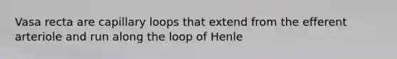 Vasa recta are capillary loops that extend from the efferent arteriole and run along the loop of Henle