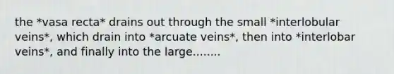 the *vasa recta* drains out through the small *interlobular veins*, which drain into *arcuate veins*, then into *interlobar veins*, and finally into the large........