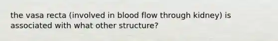 the vasa recta (involved in blood flow through kidney) is associated with what other structure?