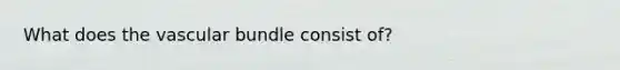 What does the vascular bundle consist of?