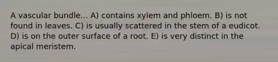 A vascular bundle... A) contains xylem and phloem. B) is not found in leaves. C) is usually scattered in the stem of a eudicot. D) is on the outer surface of a root. E) is very distinct in the apical meristem.