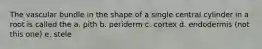 The vascular bundle in the shape of a single central cylinder in a root is called the a. pith b. periderm c. cortex d. endodermis (not this one) e. stele