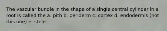 The vascular bundle in the shape of a single central cylinder in a root is called the a. pith b. periderm c. cortex d. endodermis (not this one) e. stele