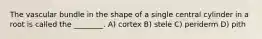 The vascular bundle in the shape of a single central cylinder in a root is called the ________. A) cortex B) stele C) periderm D) pith