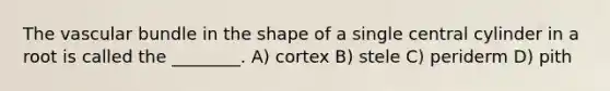 The vascular bundle in the shape of a single central cylinder in a root is called the ________. A) cortex B) stele C) periderm D) pith