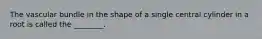 The vascular bundle in the shape of a single central cylinder in a root is called the ________.