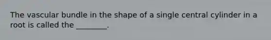 The vascular bundle in the shape of a single central cylinder in a root is called the ________.