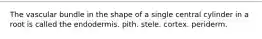 The vascular bundle in the shape of a single central cylinder in a root is called the endodermis. pith. stele. cortex. periderm.