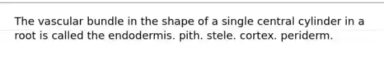 The vascular bundle in the shape of a single central cylinder in a root is called the endodermis. pith. stele. cortex. periderm.