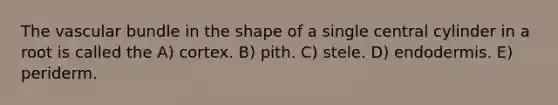 The vascular bundle in the shape of a single central cylinder in a root is called the A) cortex. B) pith. C) stele. D) endodermis. E) periderm.