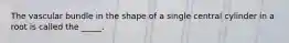 The vascular bundle in the shape of a single central cylinder in a root is called the _____.