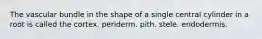 The vascular bundle in the shape of a single central cylinder in a root is called the cortex. periderm. pith. stele. endodermis.