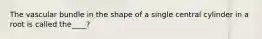 The vascular bundle in the shape of a single central cylinder in a root is called the____?
