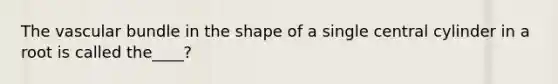 The vascular bundle in the shape of a single central cylinder in a root is called the____?