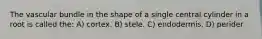The vascular bundle in the shape of a single central cylinder in a root is called the: A) cortex. B) stele. C) endodermis. D) perider