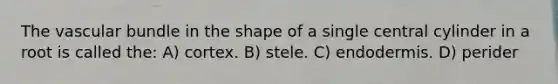 The vascular bundle in the shape of a single central cylinder in a root is called the: A) cortex. B) stele. C) endodermis. D) perider