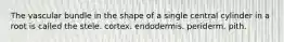 The vascular bundle in the shape of a single central cylinder in a root is called the stele. cortex. endodermis. periderm. pith.