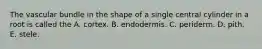 The vascular bundle in the shape of a single central cylinder in a root is called the A. cortex. B. endodermis. C. periderm. D. pith. E. stele.