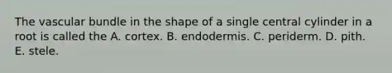 The vascular bundle in the shape of a single central cylinder in a root is called the A. cortex. B. endodermis. C. periderm. D. pith. E. stele.