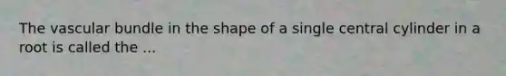 The vascular bundle in the shape of a single central cylinder in a root is called the ...