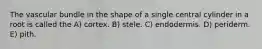 The vascular bundle in the shape of a single central cylinder in a root is called the A) cortex. B) stele. C) endodermis. D) periderm. E) pith.