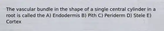 The vascular bundle in the shape of a single central cylinder in a root is called the A) Endodermis B) Pith C) Periderm D) Stele E) Cortex