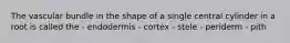 The vascular bundle in the shape of a single central cylinder in a root is called the - endodermis - cortex - stele - periderm - pith