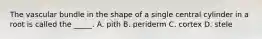The vascular bundle in the shape of a single central cylinder in a root is called the _____. A. pith B. periderm C. cortex D. stele