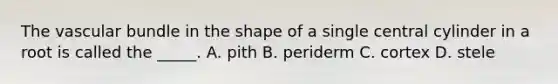 The vascular bundle in the shape of a single central cylinder in a root is called the _____. A. pith B. periderm C. cortex D. stele