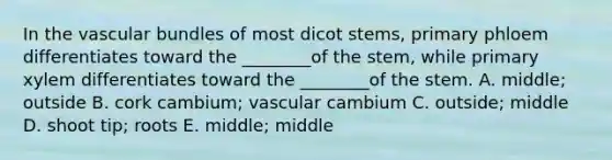 In the vascular bundles of most dicot stems, primary phloem differentiates toward the ________of the stem, while primary xylem differentiates toward the ________of the stem. A. middle; outside B. cork cambium; vascular cambium C. outside; middle D. shoot tip; roots E. middle; middle