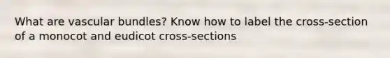 What are vascular bundles? Know how to label the cross-section of a monocot and eudicot cross-sections