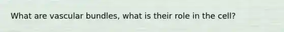 What are vascular bundles, what is their role in the cell?