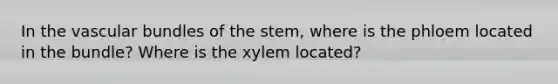 In the vascular bundles of the stem, where is the phloem located in the bundle? Where is the xylem located?