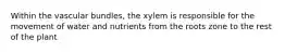 Within the vascular bundles, the xylem is responsible for the movement of water and nutrients from the roots zone to the rest of the plant