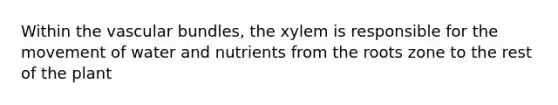 Within the vascular bundles, the xylem is responsible for the movement of water and nutrients from the roots zone to the rest of the plant