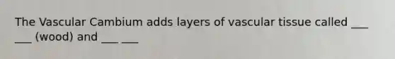 The Vascular Cambium adds layers of vascular tissue called ___ ___ (wood) and ___ ___