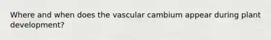 Where and when does the vascular cambium appear during plant development?