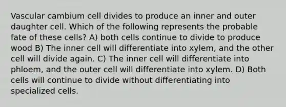 Vascular cambium cell divides to produce an inner and outer daughter cell. Which of the following represents the probable fate of these cells? A) both cells continue to divide to produce wood B) The inner cell will differentiate into xylem, and the other cell will divide again. C) The inner cell will differentiate into phloem, and the outer cell will differentiate into xylem. D) Both cells will continue to divide without differentiating into specialized cells.