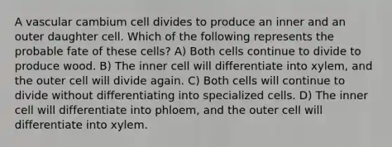 A vascular cambium cell divides to produce an inner and an outer daughter cell. Which of the following represents the probable fate of these cells? A) Both cells continue to divide to produce wood. B) The inner cell will differentiate into xylem, and the outer cell will divide again. C) Both cells will continue to divide without differentiating into specialized cells. D) The inner cell will differentiate into phloem, and the outer cell will differentiate into xylem.