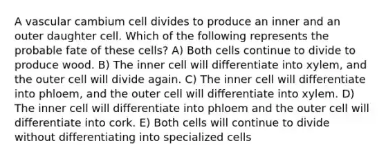 A vascular cambium cell divides to produce an inner and an outer daughter cell. Which of the following represents the probable fate of these cells? A) Both cells continue to divide to produce wood. B) The inner cell will differentiate into xylem, and the outer cell will divide again. C) The inner cell will differentiate into phloem, and the outer cell will differentiate into xylem. D) The inner cell will differentiate into phloem and the outer cell will differentiate into cork. E) Both cells will continue to divide without differentiating into specialized cells