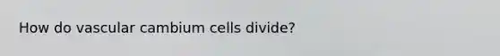 How do vascular cambium cells divide?