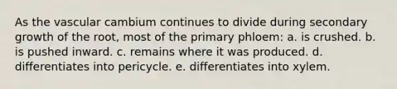 As the vascular cambium continues to divide during secondary growth of the root, most of the primary phloem: a. is crushed. b. is pushed inward. c. remains where it was produced. d. differentiates into pericycle. e. differentiates into xylem.