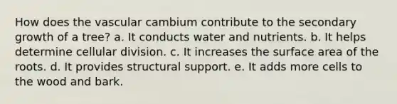 How does the vascular cambium contribute to the secondary growth of a tree? a. It conducts water and nutrients. b. It helps determine cellular division. c. It increases the surface area of the roots. d. It provides structural support. e. It adds more cells to the wood and bark.