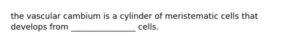 the vascular cambium is a cylinder of meristematic cells that develops from ________________ cells.