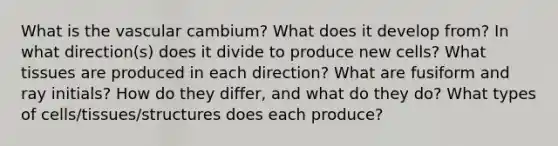 What is the vascular cambium? What does it develop from? In what direction(s) does it divide to produce new cells? What tissues are produced in each direction? What are fusiform and ray initials? How do they differ, and what do they do? What types of cells/tissues/structures does each produce?